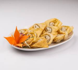 Chicken Fried Wonton