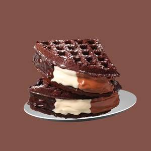 Chocolate Ice Cream Waffle