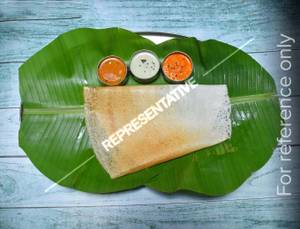 Plain Dosa