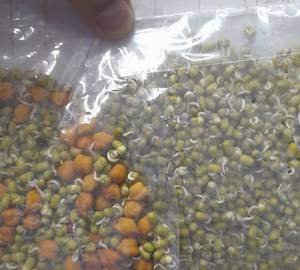 Sprouted Moong For Pani