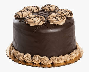 Chocolate Cake(500gm)