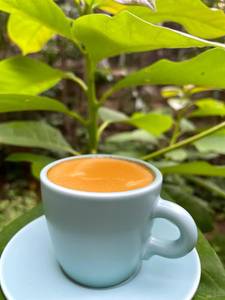 Espresso Doppio