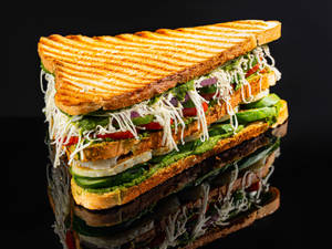 Veg Cheese Grill Sandwich