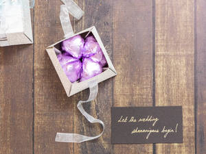 Let The Wedding Shenanigans Begin (Box Of 20)