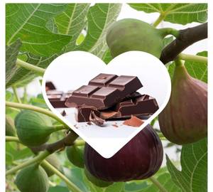Fig  With Chocolate Milkshake (Large) bottle