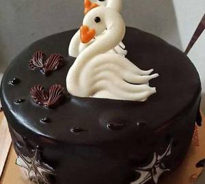 Chocolate Vanilla [500gm]