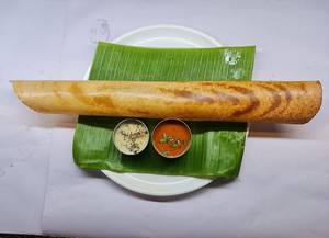 Paper Plain Dosa
