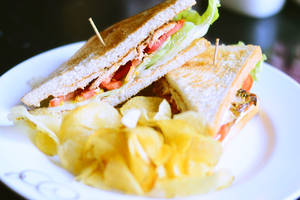 Chicken & Mayo Sandwich 