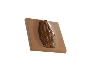 Caramel Pecan Chiplet