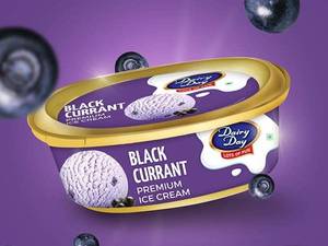 Blackcurrant Premium Ice Cream Tub 500ml