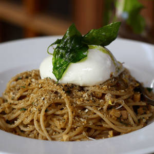 Spaghetti Pangrattato with Burrata