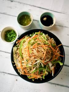 Veg Hakka Noodles