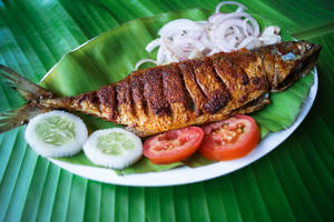 Bangda Fry