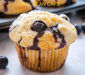 Blueberry Muffin