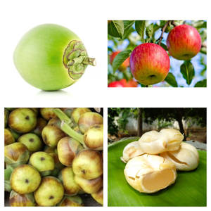 Tender Coconut Apple Within Nungu (Large)