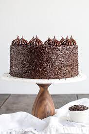 Chocolate Truffle Birthday Cake (500 Gms)