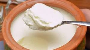 Dahi (curd)
