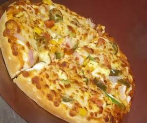 Regular Veg Delight Pizza