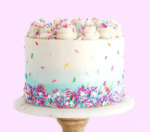 Eggless Special Vanilla Cake