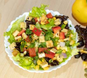 Special Healthy Veg Salad