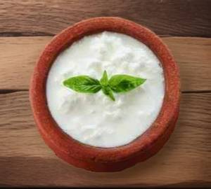 Plain Curd 