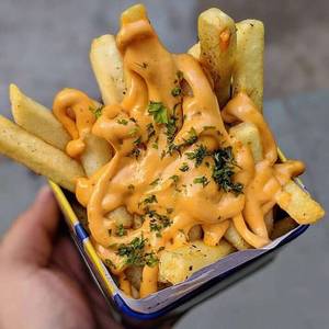 Cheese Fries