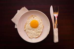 Fried Egg [1]