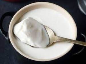 Plain Curd
