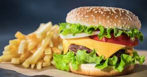 65 Chicken Cheese Burger