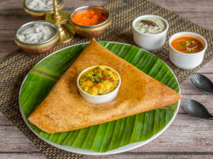 Butter Masala Dosa                     