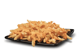 Cheese fries