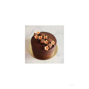 Luxury Chocolate Cake [500gms]