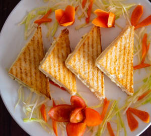 Cheese Grill Sandwich