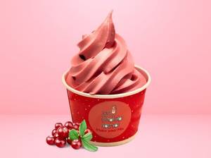 Cranberry Frozen Yogurt
