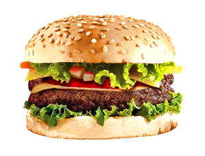 Chicken Patty Burger