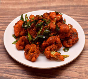 Gobi 65