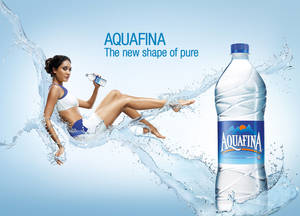 Water Bottle 1litre Bisleri