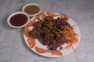 Gobi 65