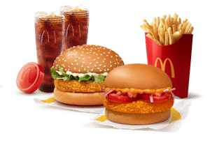 McVeggie Burger + McAloo Tikki Burger + Fries (L) + 2 Coke