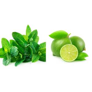 Mint Lime (750 ml)-Sugarfree