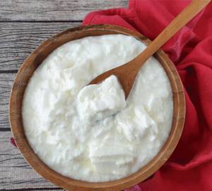 Plain Dahi