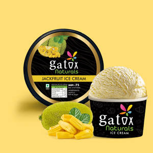 Jack Fruit Ice Cream [mini Pack]