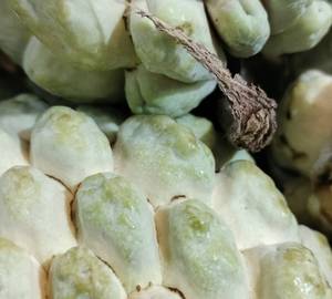 Sithaphal custard apple