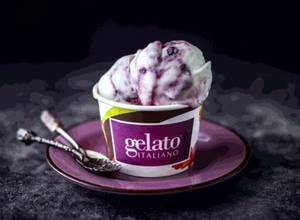 Yoghurt Wildberry Flavour Gelato