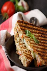 Veg Cheese Sandwich Grilled