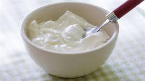 Plain Curd