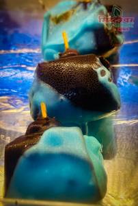 Blueberry Chocolate Mix