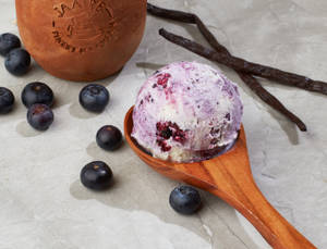 Vanilla Blueberry Ice Cream