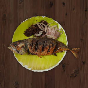 Ayala Fry
