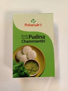 Pudina Chammandhi